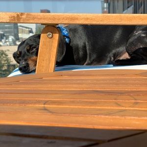 Meet your Posher, Henry